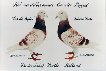 Het Wereld Beroemde Gouden Koppel